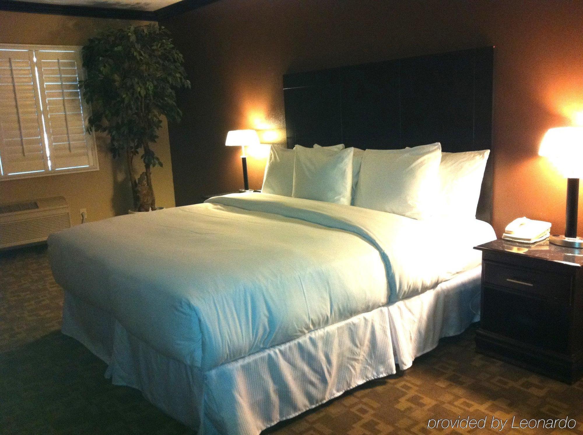 Blvd & - Walking Distance To Hollywood Walk Of Fame (adults Only) 4* Los Angeles